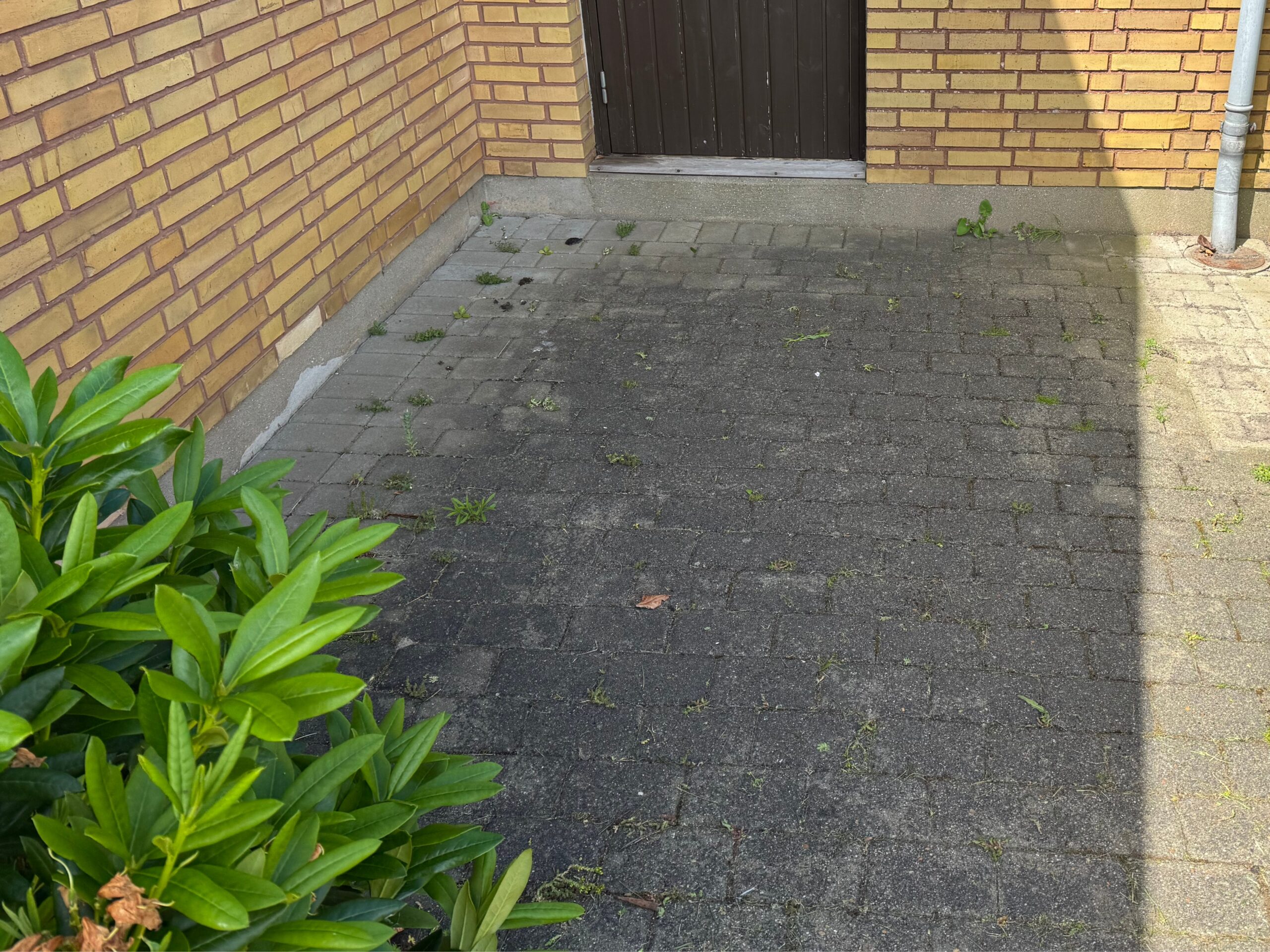Før billede